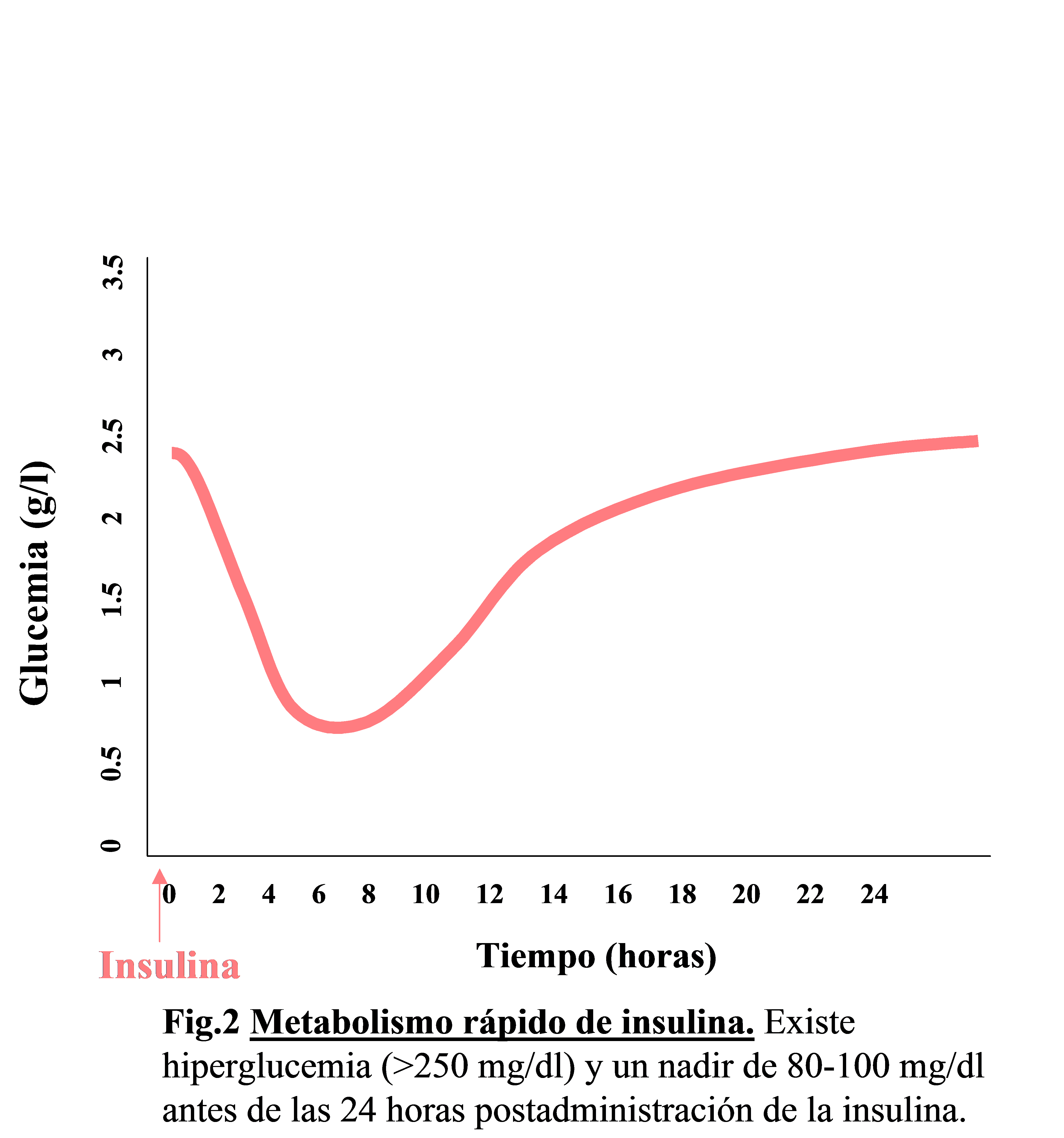 Curva De Tolerancia A La Glucosa Como Se Hace Wayfarertips