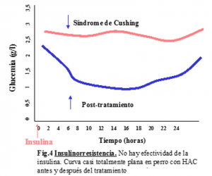 Para que se hace la curva de glucosa