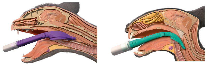 v-gel dispositivos supraglóticos para vías respiratorias